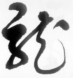  古筝琴韵品香茗,云水禅心享静松