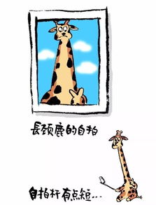  当动物们开始玩自拍,画风不忍直视