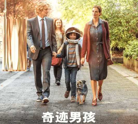  神秘巨星和奇迹男孩票房对比,差距很大很大