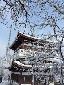  诸暨雪景美爆了再过20天,这里将成中国最美的城市