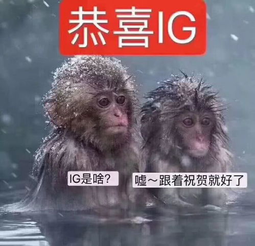  我们是冠军ig夺英雄联盟s8全球总决赛冠军