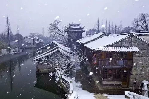  浮云吹作雪,回首落梅花