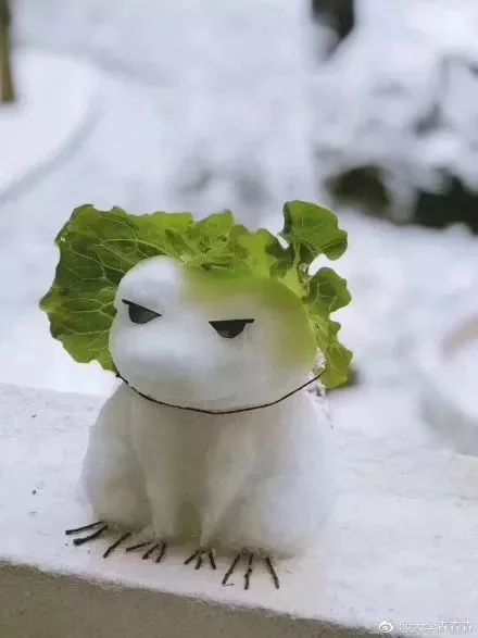  上海南京西湖雪景纷纷抢上热搜,而这个地方的雪景一出,才真正惊艳了整个中国