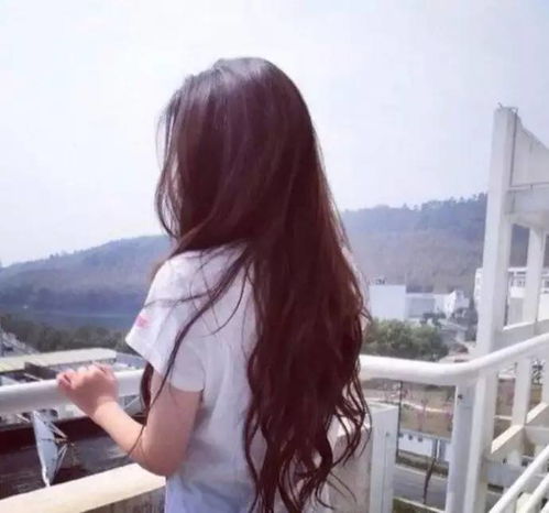 qq头像女生背影伤感