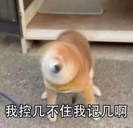  干货秋招加油站面试常见问题及回答技巧