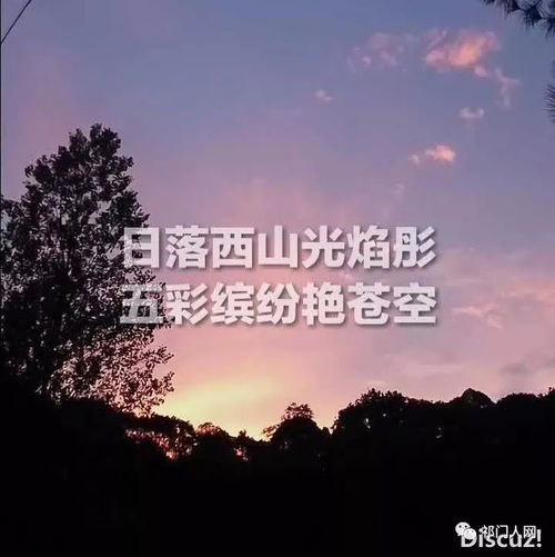  原创荐读丨云水禅心四季情缘牯岭云岚