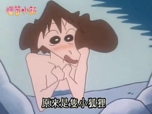  蜡笔小新我是奇怪的动物吗