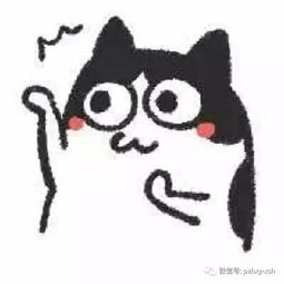  互联网与我不得不说的故事