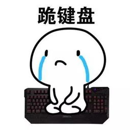  暨大选课制度出漏洞,学生或因此无法毕业