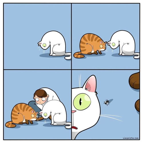 卡通猫卖萌头像动画