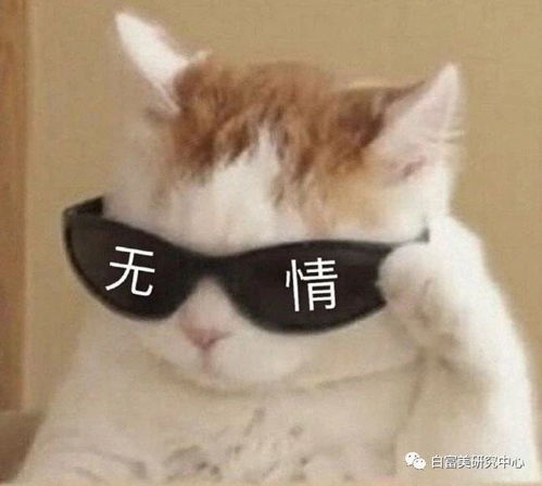 沙雕动物头像太坏了