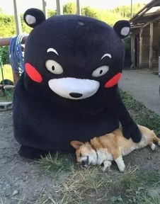  这几部评分最高的韩剧,看过十遍都不腻,少女心甜到飞起