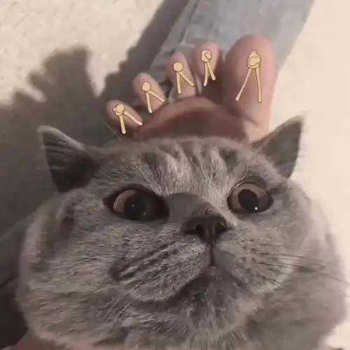  推荐一下,有好看的壁纸或头像吗