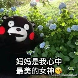  2017三八妇女节图片表情大全
