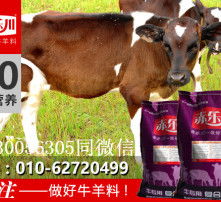  黄页88高清图片