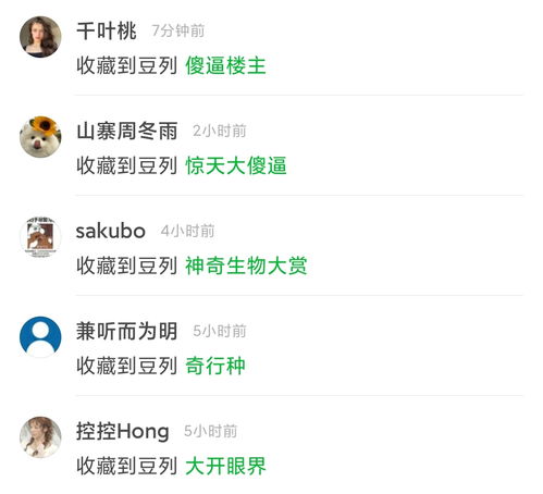  全智贤到底美不美我和男朋友有一点分歧