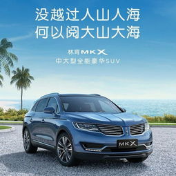 福瑞头像林肯mkx