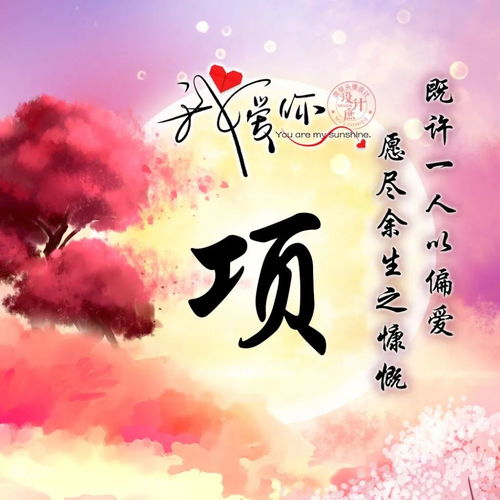  微信头像分享遇见你,愿择一城以终老