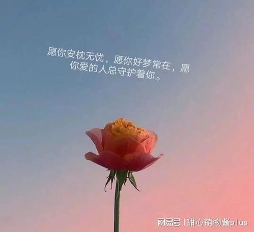  先生您好呀,今天我们来聊聊婚姻吧