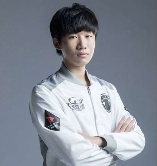  宁王为何越来越捞pdd一句话点明原因,ym出来的打野都有保质期