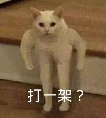 微信沙雕动物头像