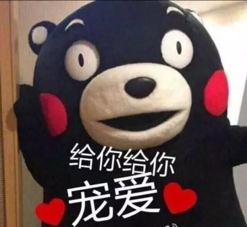  光范冰冰是宠弟狂魔霉霉锤哥要不服了...