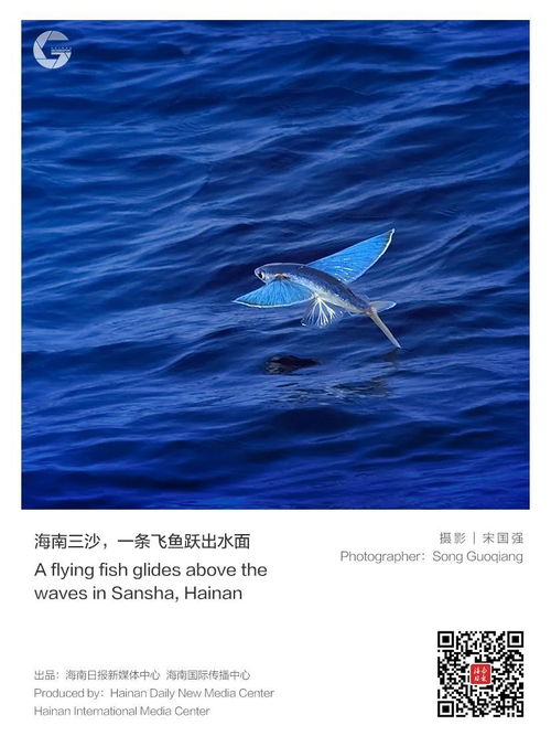  海南这海,竟有万种风情