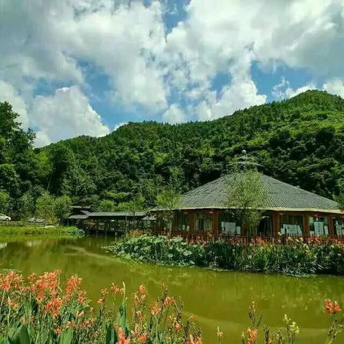  太美了周末约上家人好友,来遵义这些地方住上两天吧