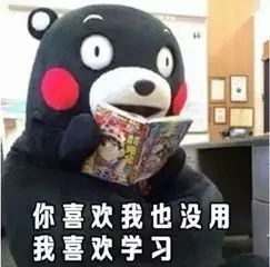 考研人专属头像合集用完必上岸