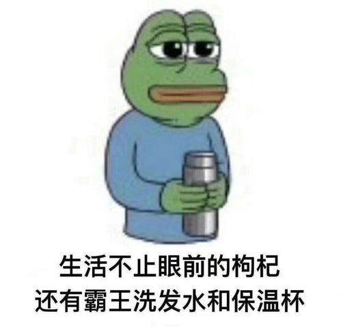  如果给美貌设个保质期