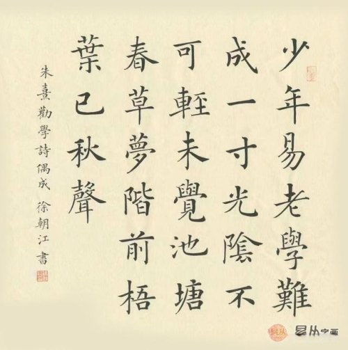  徐朝江书法首届楷书状元笔笔惊艳字字练达