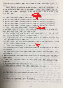  钢铁侠被写进卷子里,还是文言文点开前以为恶搞,看完震撼全家
