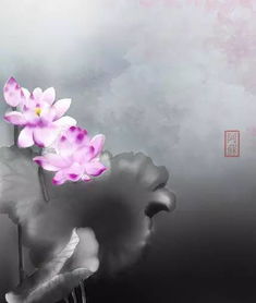  人如过客,一切随缘