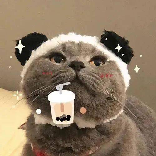  微信头像一眼爱上