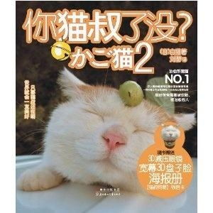  你猫叔了没2