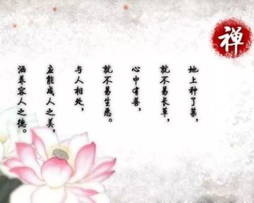  母亲是我们应敬的佛