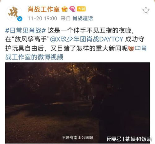  肖战是带着人设营业吗一则vlog碎了滤镜,引其他追星者羡慕