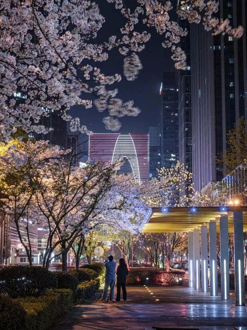  来园区,遇见粉色的梦