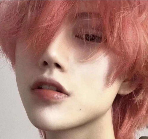  是你们吵着要的狼尾男生头像