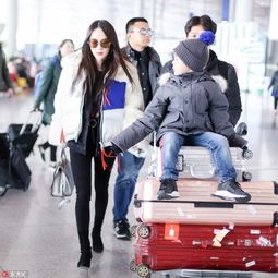  组图霍思燕带儿子现身机场与嗯哼亲子装出行潮味十足