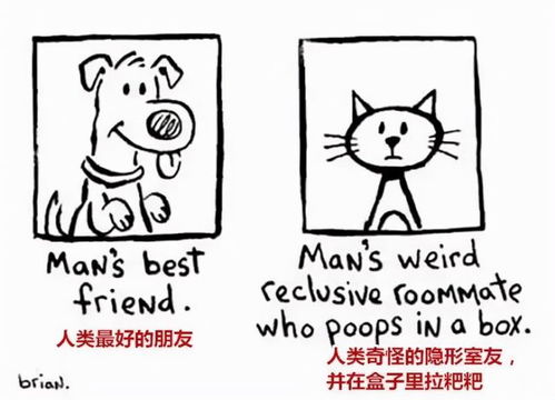  人类为什么无法完全驯服猫