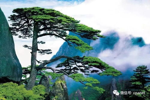  技巧风光摄影中的4个超级大误区