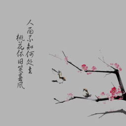 古筝曲谱梅花泪,梅花泪古筝曲谱,梅花泪简谱歌谱第2页大山谷图库