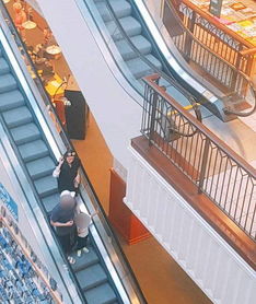  全智贤一家游美国逛书店两岁多大儿子曝光