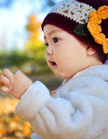  pcbaby用品安全百科美耐皿