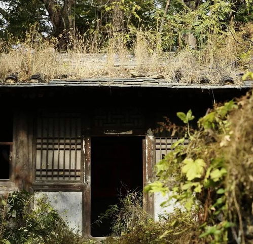  门头沟最神秘的村庄赵家台村的前世今生