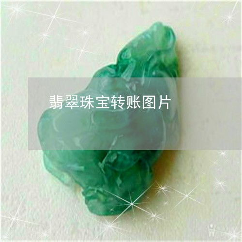  没想到翡翠珠宝转账图片翡翠珠宝转账图片2023已更新今日图文翡翠