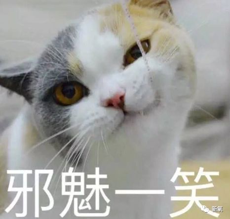  刘亦菲到底上辈子救了谁骨相满分之后,超越众女星成最抗风险脸
