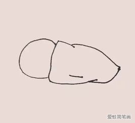  月亮兔简笔画