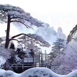  黄山风景区西递宏村5日4晚跟团游观日出宿山顶住宿可选a线住标间b线住多人间游黄山奇观赏乡村景色天天发纯玩团享下单立减小红包